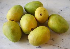 Special Pakistani Mangoi Anwar Ratool