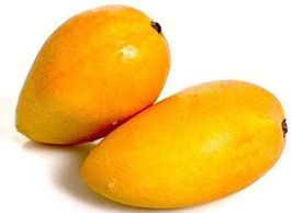 Chaunsa mango of Pakistan is one of the worlds’ top available varieties. Chaunsa is an exceptionally sweet mango with a wonderful fragrance and delicious soft, succulent flesh with only the minimum of fibre. it is not a fruit of beauty, usually being of a pale, matt yellow appearance, but one inside the thin peel it is a delight