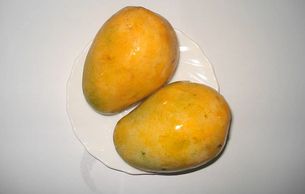 Pakistani Mangoes Export Season
Mangoes Availability & types chart