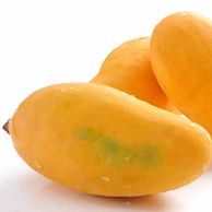 Sindhri is a Leading variety of Sindh. Its shape ovalish long, size large, skin colour lemon yellow when ripe, pulp colour yellowish cadium, texture fine and firm fibreless, stone medium sized, flavour pleasantly aromatic and taste sweet. It’s origin from Mir Pur Khas
