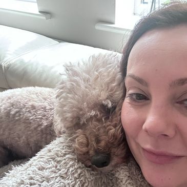 Cuddles with Robyn apricot red miniature poodle cavapoo puppies licensed breeder uk home raised