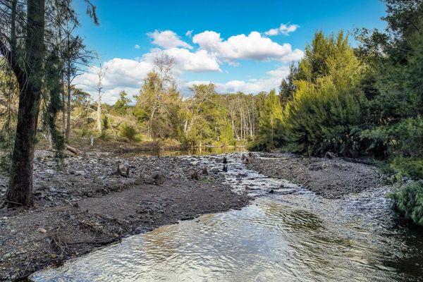 #turonriver #sofala #tanwarralodge #accommodation #countryliving