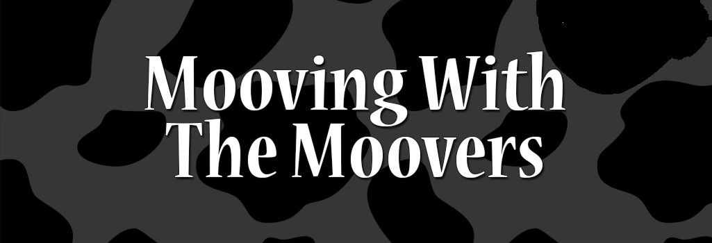 Moving, Moovers, Moving Company, movers, Professional Moving company, Local movers, Office Moving