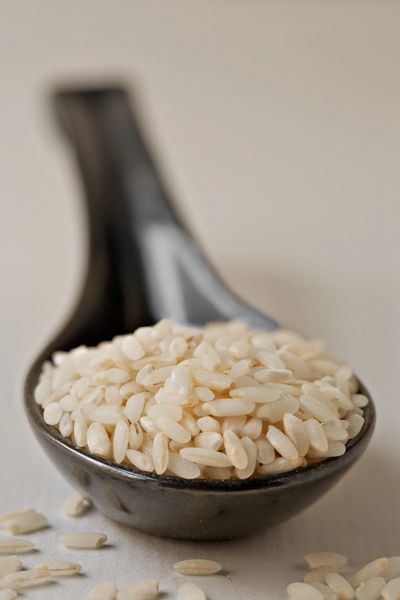 Carolina Gold Rice Food Tour Charleston History A Southern Food History Tour VIP Tours Charleston
