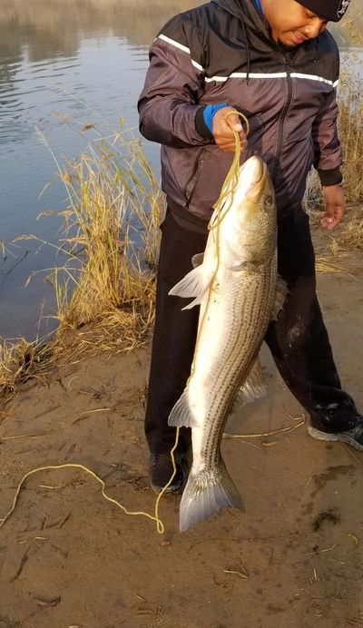 manteca bass fishing bass pro shop