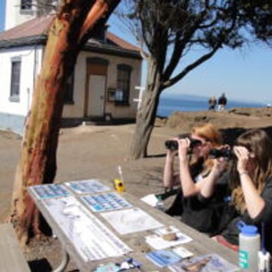 Two women using binoculars at an outdoor table near the coast.