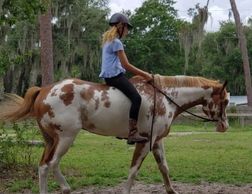 $450 per week
June 19 - 23
June 26 - 30
July 17 - 21
July 24 - 28