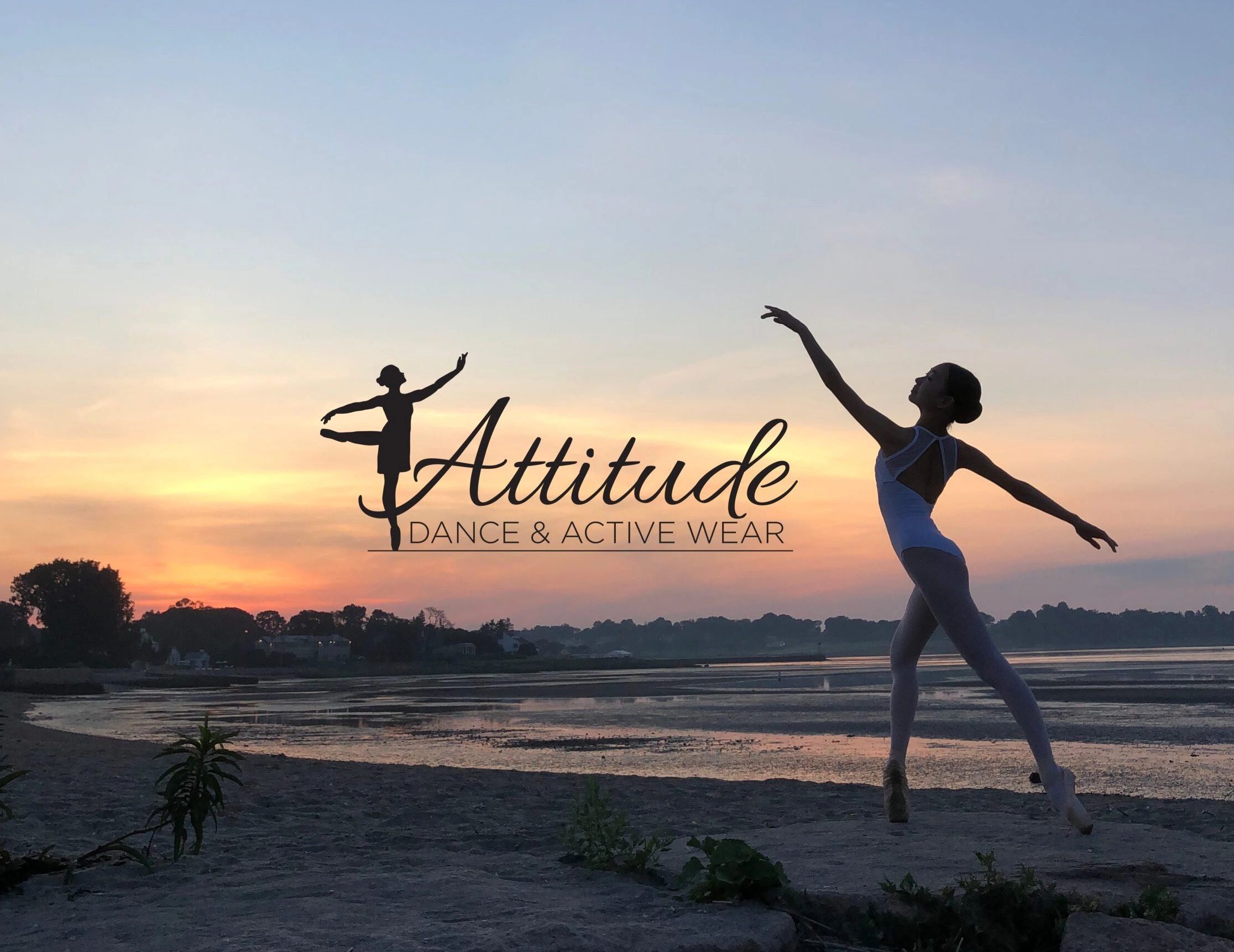 attitudes dance store