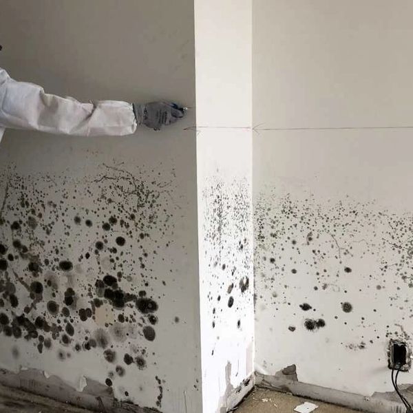 Person inspecting black mold growing on white walls inside a building.