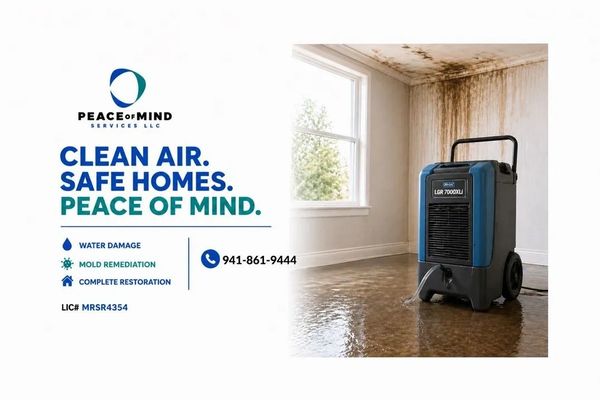 Water damage restoration equipment in a mold-affected room, promoting clean air and safe homes.