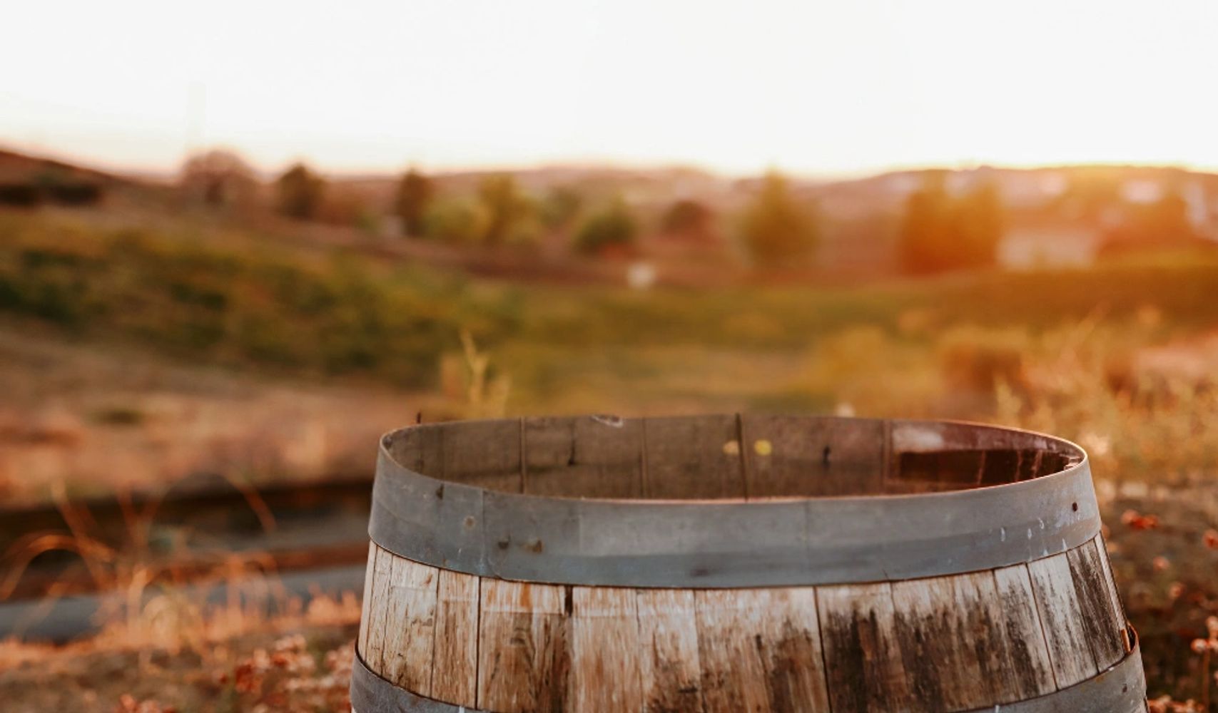 Landscape image of vineyard