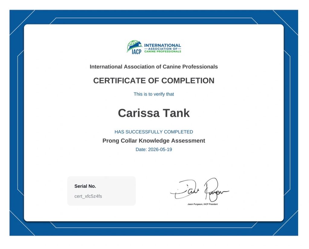 Took and passed the knowledge assessment of the use of Prong collars properly and humanely