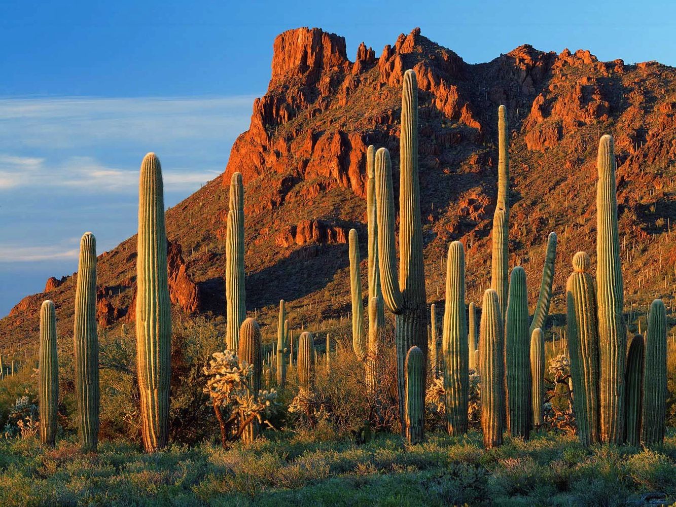Local Payroll Services Company Arizona Mesa Chandler Gilbert Scottsdale