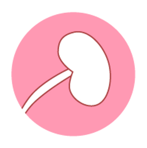 AGEs impact on the kidneys