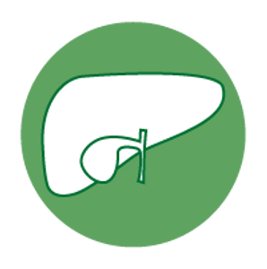 AGEs impact on the liver