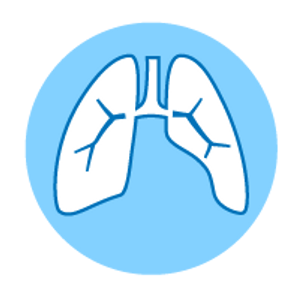 AGEs impact on the lungs