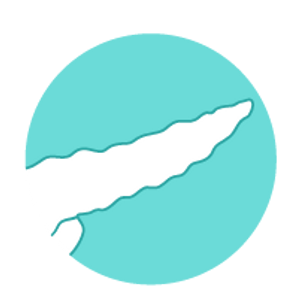 AGEs impact on the pancreas