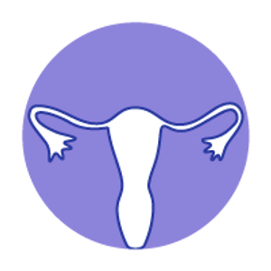 AGEs impact on the ovaries