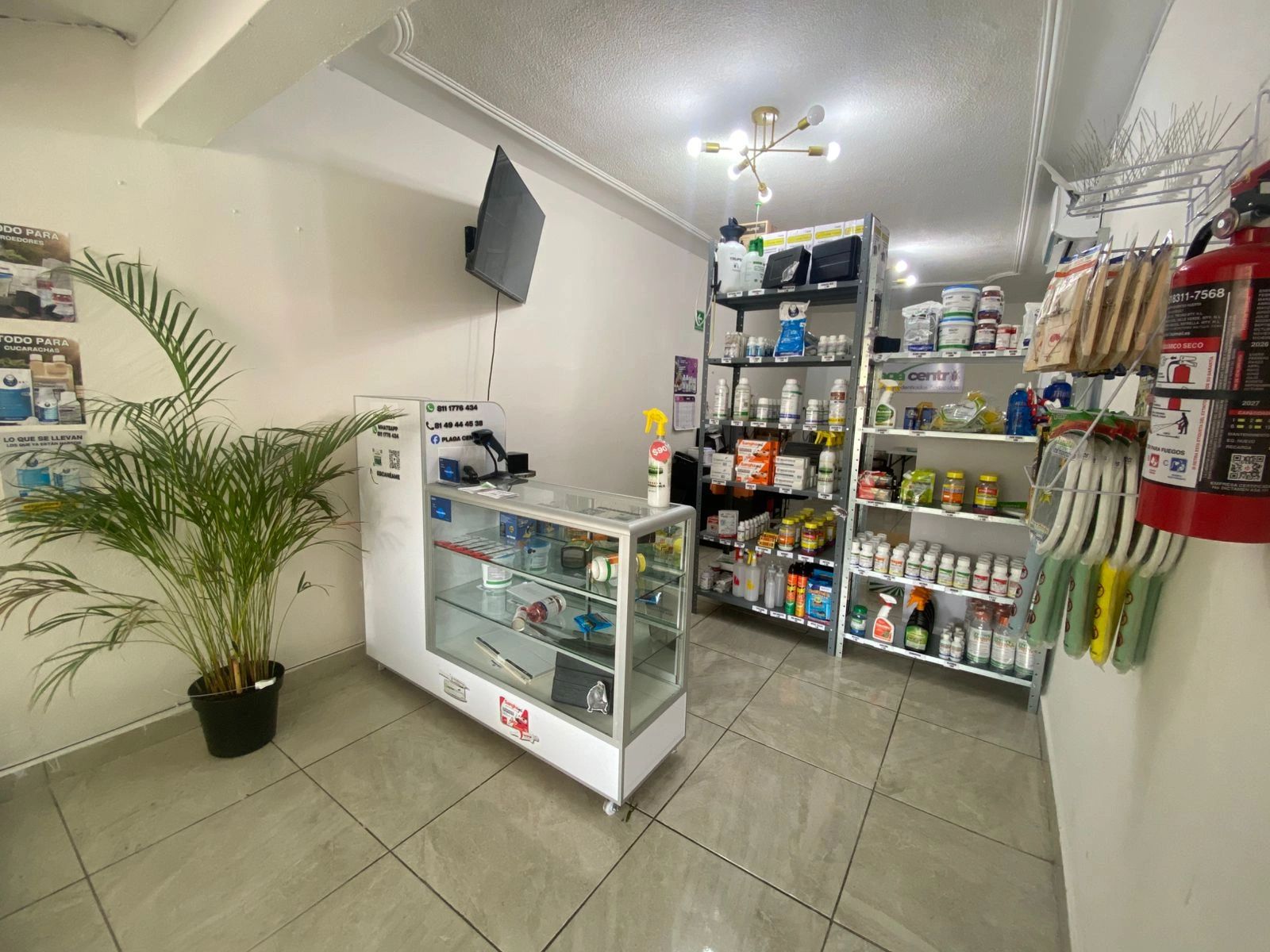 Small pharmacy or health store with shelves of products and a glass display case.