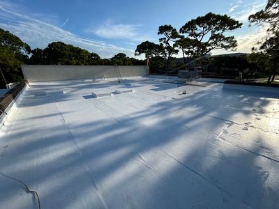 Commercial property with a flat TPO roof with equipment, and a ladder under a clear sky.
