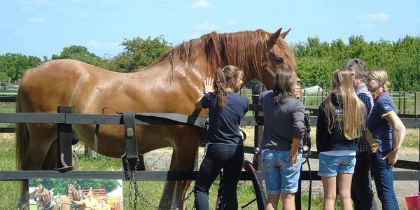 people and  a horse