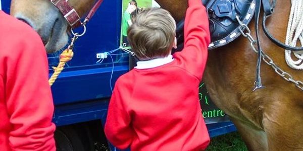 children and horse