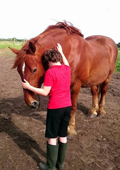 children and horse