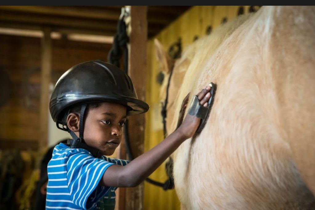 Special needs child working with Mustang horse.  rRding lesson Wild Horse Mountain Ranch.