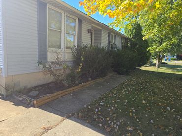 Side view of a house with shrubs and autumn leaves on the ground.
