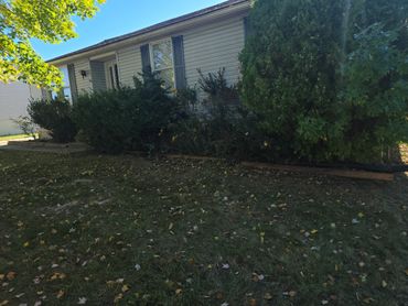 A suburban house with a bushy garden and fallen autumn leaves on the lawn.