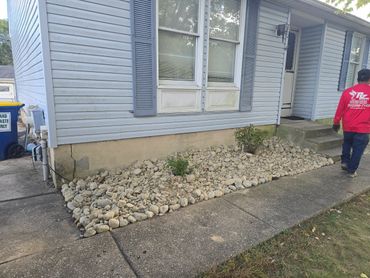 Rock garden with two small bushes in front of a house with blue shutters.