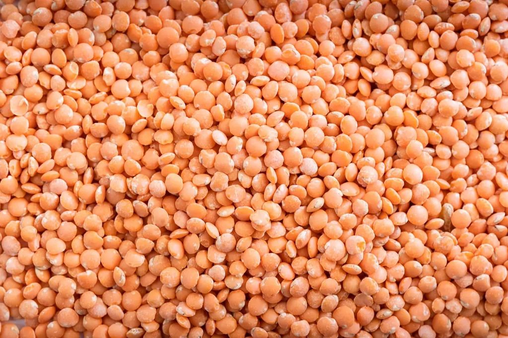 Our red lentils are carefully sourced to deliver premium quality, consistency, and excellent nutriti