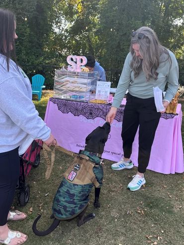 woman giving a treat to a dog that is sitting