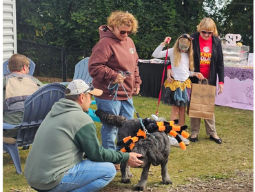 Dogs in costume with owners receiving awards