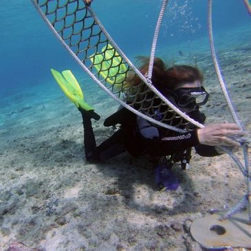 Diver transplanting coral on electrified reef art structure.