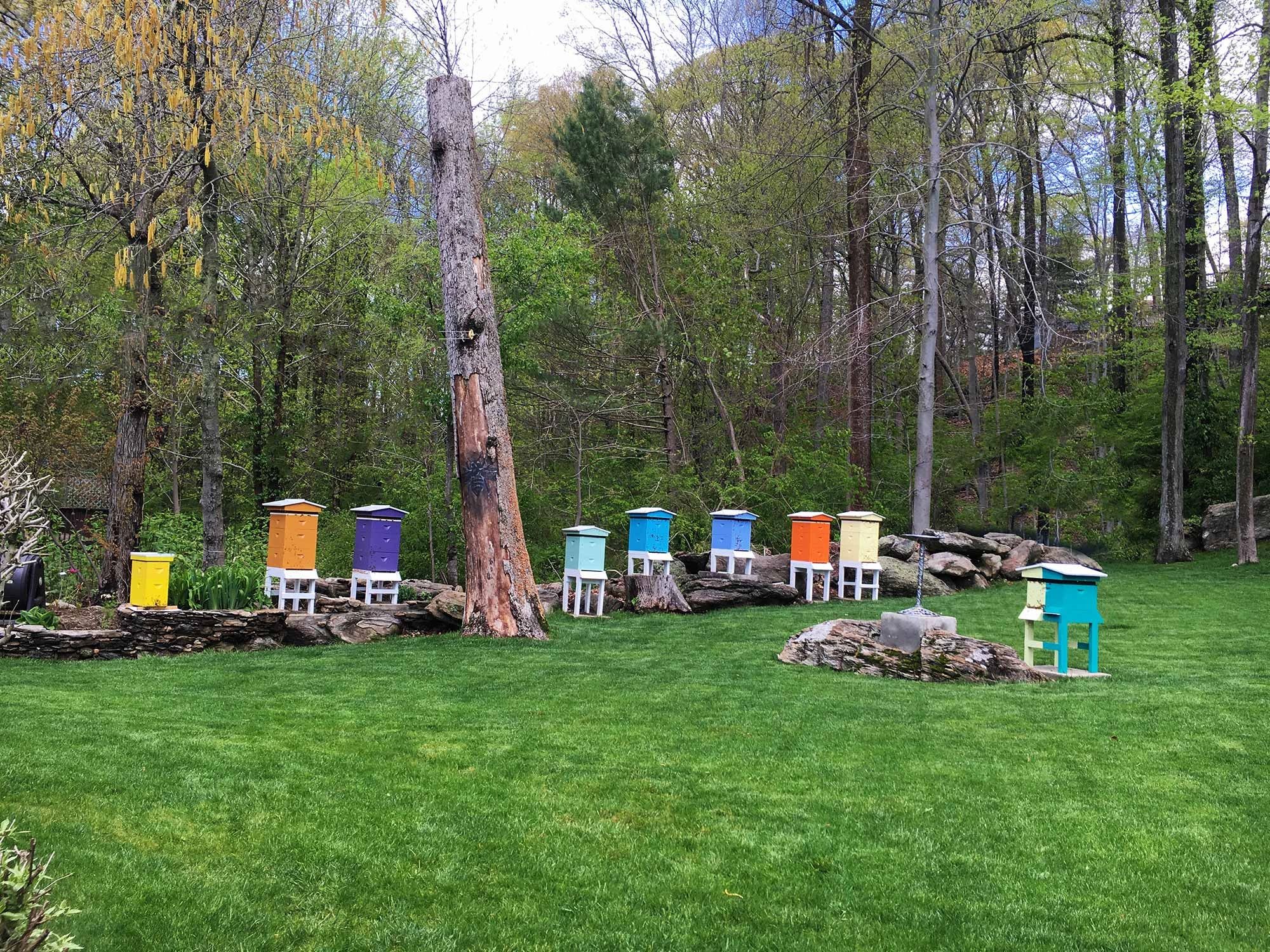 How to find your local beekeepers – Pixie's Pocket