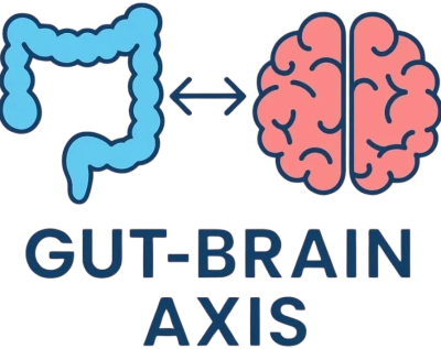 Illustration showing connection between gut and brain with 'Gut-Brain Axis' text.