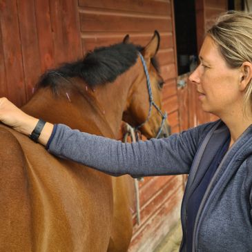 Hannah Blackburn, Horse acupuncture