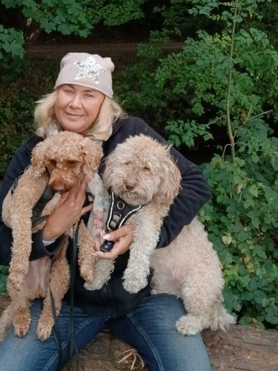 Naturerlebnisse in der Hundebetreuung Hamburg und im  Dog-Walker-Service  für glückliche Hunde