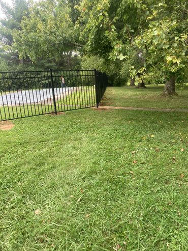 A black metal fence beside a covered pool and green trees.