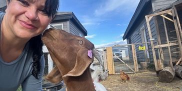 Woman smiling while a goat nuzzles her face.