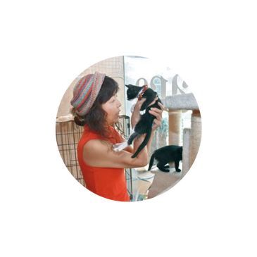 城下町にゃんこの会 奥康子