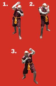 KRU NICK SENA MUAYTHAI BORAN MUAY THAI MAE MAI 15 MOTHER TECHNIQUES แม่ไม้ มวยไทยโบราณ