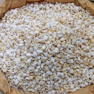 KRU NICK SENA MUAY THAI BORAN WAI KRU TEACHER RESPECT ไหว้ครู มวยไทยโบราณ