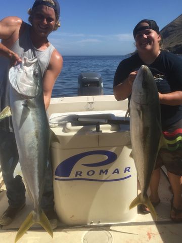 San Clemente island yellowtail on a summer day