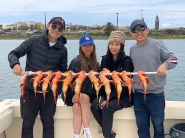 Limits of sculpin on local Huntington Beach half day fishing trip