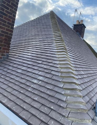 Plain tiles and bonnet hips
