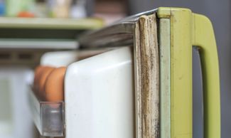 Broken  and worn fridge door gasket