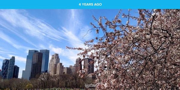 Central Park, New York in spring of 2015