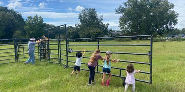 Children and an adult opening a gate in a grassy field on a sunny day.